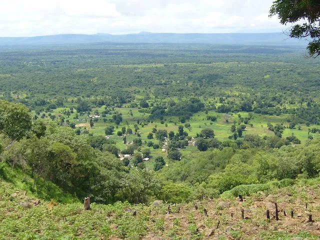 Lindas imagenes de las sabana africana. - Taringa!