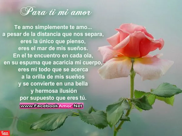 Que tengas un lindo dia mi amor frases - Imagui