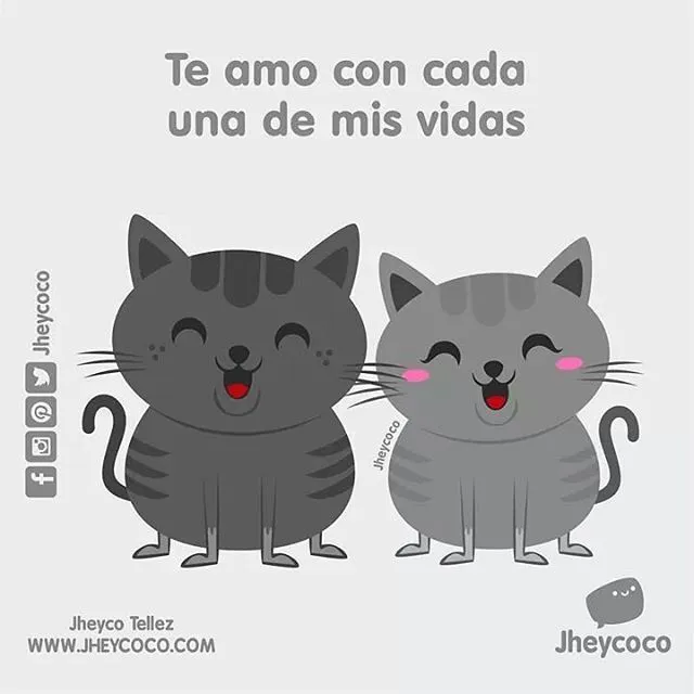 Unos lindos gatitos para iniciar semana! ... - Jheycoco