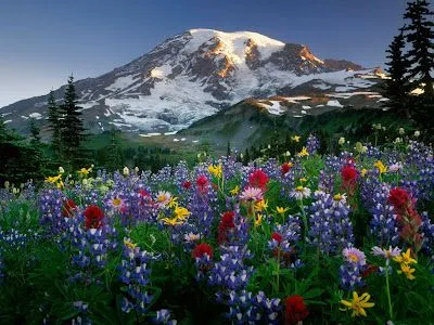 Lindos Paisajes del mundo... | El cuidado de las plantas y el jardin