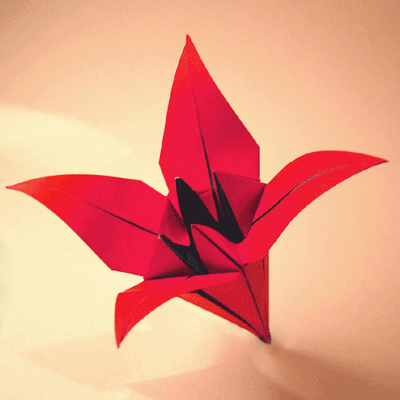 Origami Paso a Paso - Figuras de origami (Papiroflexia) fáciles de ...