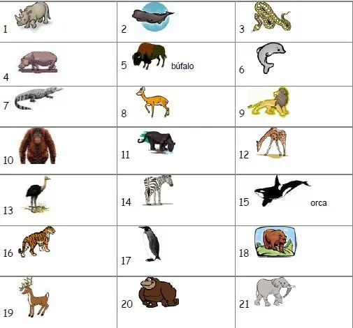 Lista de animales carnivoros herbivoros y omnivoros - Imagui