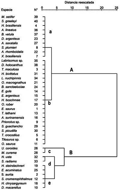 Investigaciones marinas - Trophic structure and categories of fish ...