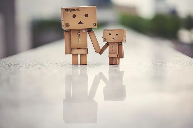 Danbo on Pinterest | Amazon Box, Robots and Amazons