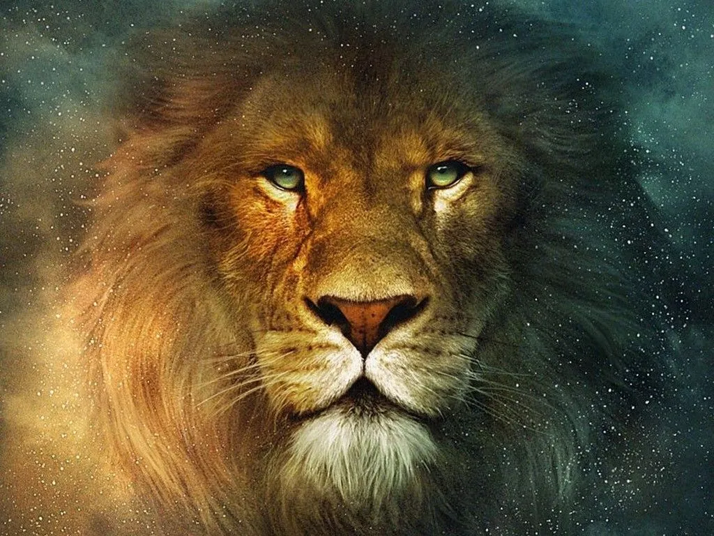 LiveS, Lion of Zion