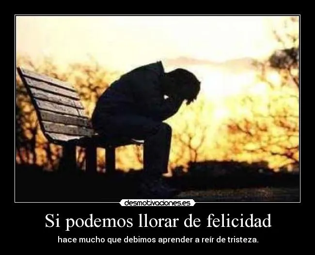 Si podemos llorar de felicidad | Desmotivaciones