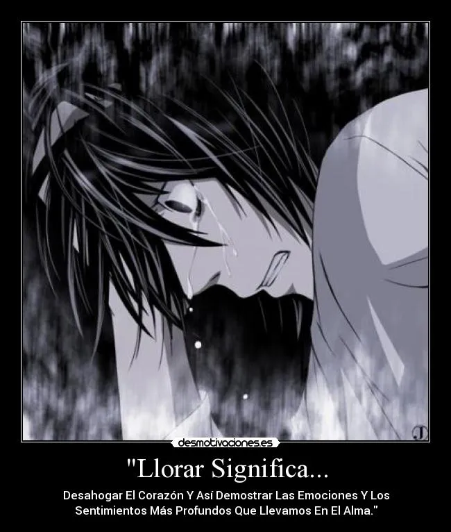 Llorar Significa... | Desmotivaciones