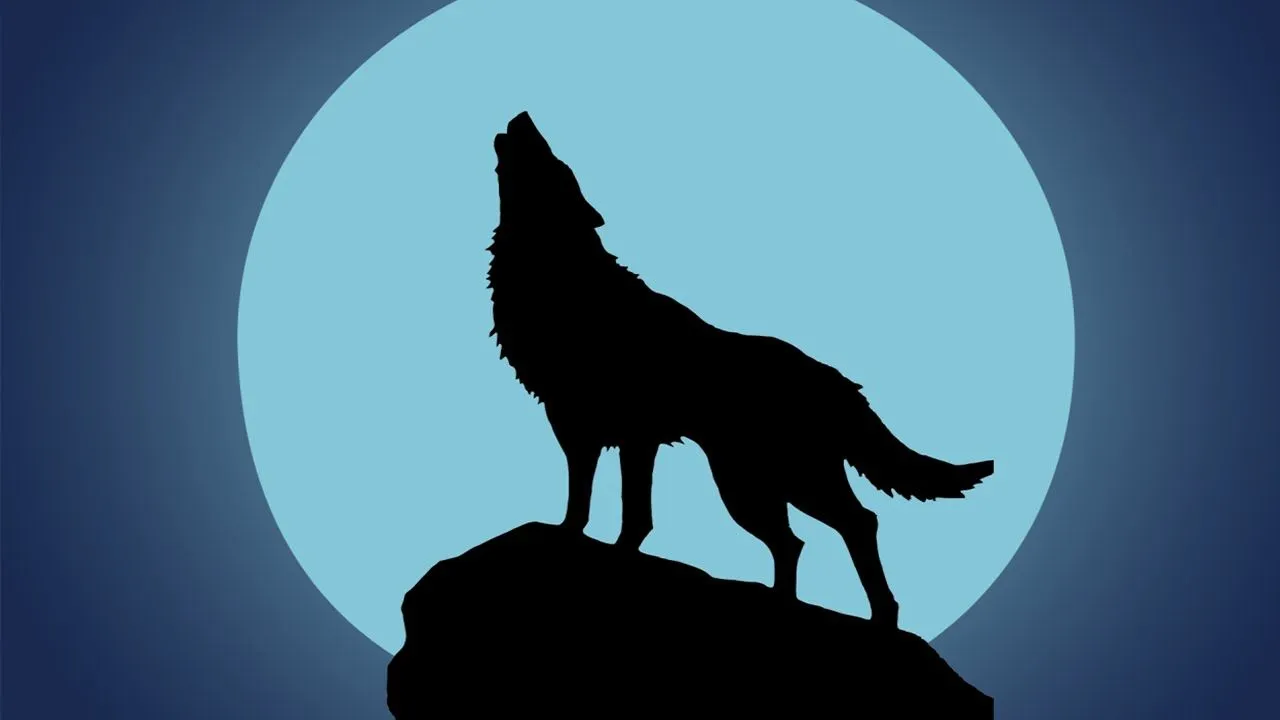 Lobo aullando (Efecto de Sonido) Wolf Howling in Night Sound ...