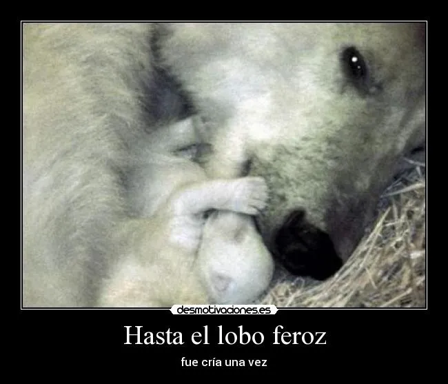 Hasta el lobo feroz | Desmotivaciones Hasta el lobo feroz | Desmotivaciones