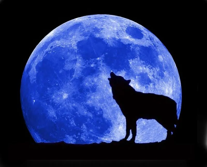 Lobo y Luna