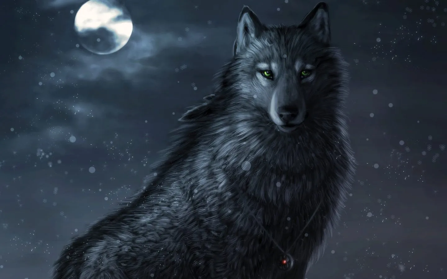 Lobo negro - 1440x900 :: Fondos de pantalla y wallpapers