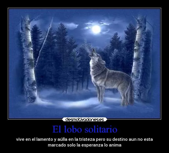 El lobo solitario | Desmotivaciones