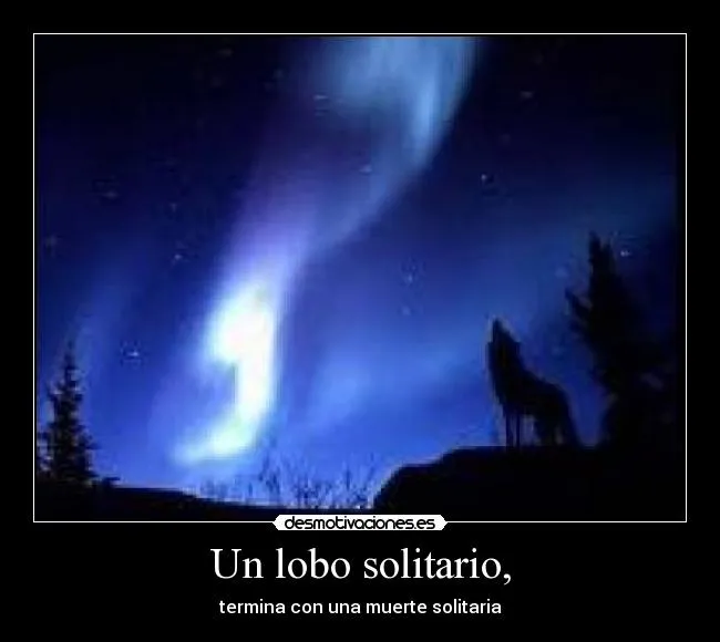 Un lobo solitario, | Desmotivaciones