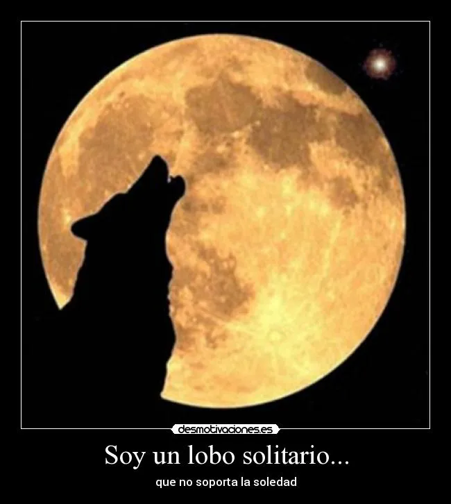 Soy un lobo solitario... | Desmotivaciones