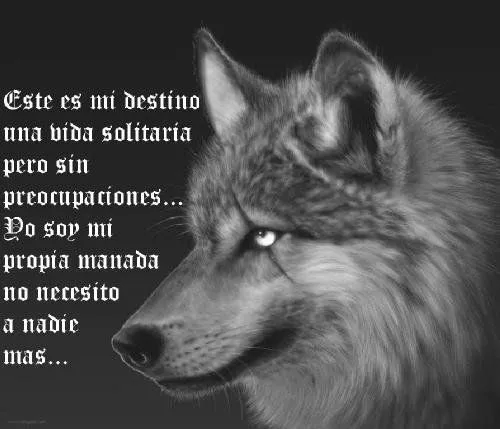 EL LOBO SOLITARIO <<<< - Página 2