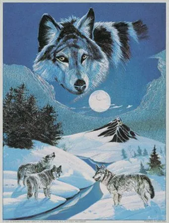 Lobos aullando Lámina por Gary Ampel en AllPosters.