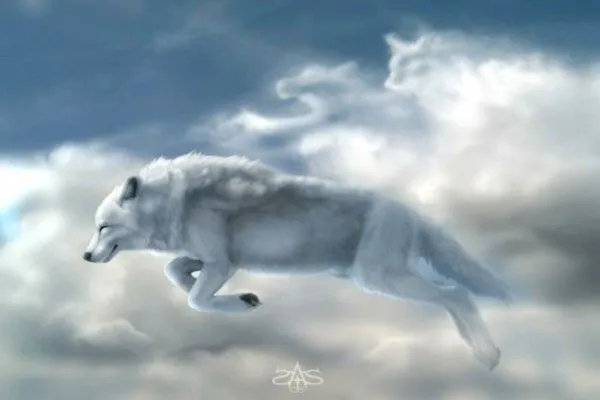 Lobos blancos en el cielo (6024)