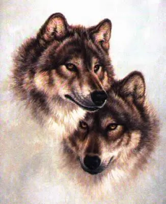 ROMANCE ENTRE LOBOS