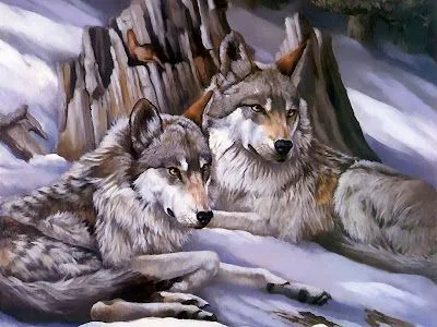 LOBOS SALVAJES: UNA PAREJA ENTRAÑABLE