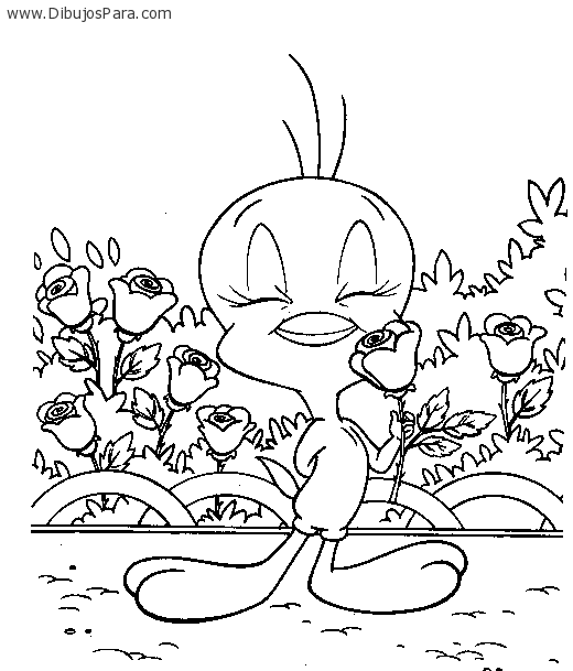 Soy Loca & Que?: agosto 2013