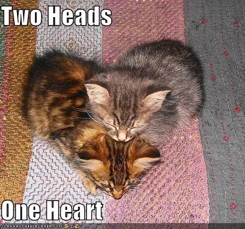 Las locas de los gatos (hombres bienvenidos) - Página 74 - vogue