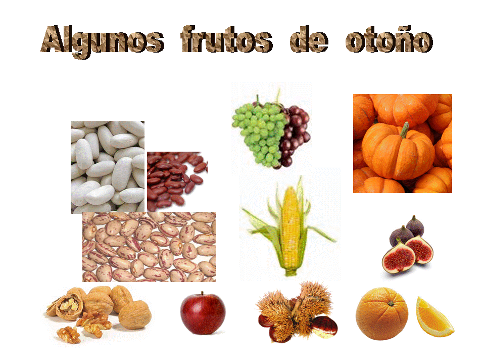 ESOS LOCOS BAJITOS DE INFANTIL: frutos de otoño para colorear