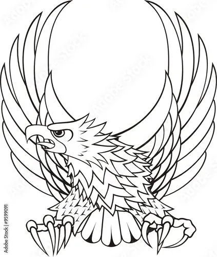 logo de aguila para escudo © Sergio Hayashi #9599091 - See portfolio