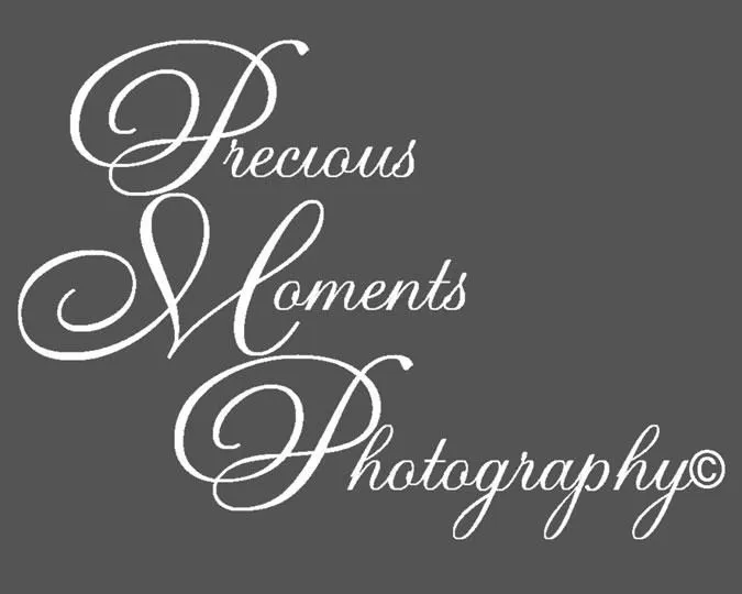 LOGO from Precious Moments Photography in Tyner, NC 27980