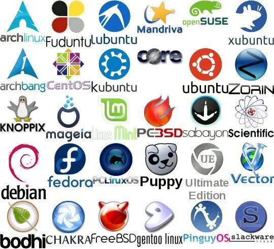Peringkat Distro Linux Terbanyak Penggunanya | Ecodidik Technology