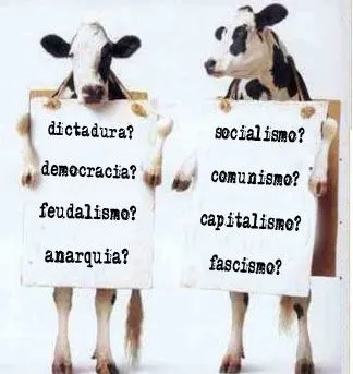 Logotipos de vacas animadas - Imagui