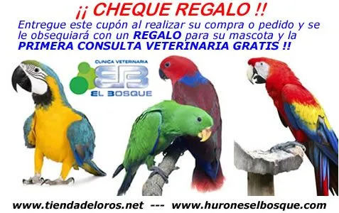 Loros, Tienda de Loros, Venta de Loros, Tienda de aves, Venta de ...