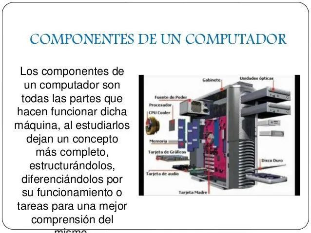 los-componentes-de-la- ...