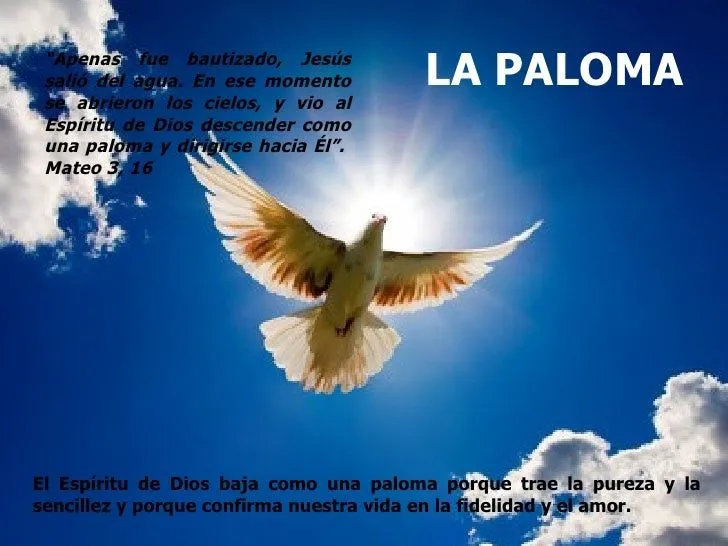 los-smbolos-del-espritu-santo- ...