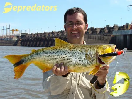 losterceros266 - La pesca del dorado en el Río Uruguay.