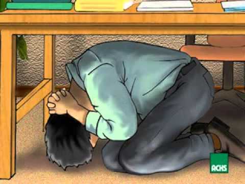 LOTA, Prevencion de Seguridad ante Sismos.flv - YouTube