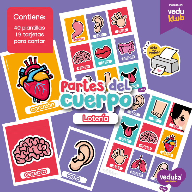 Lotería Partes del Cuerpo – veduka – Veduka Arte Didáctico