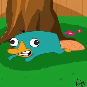 love you perry el ornitorrinco