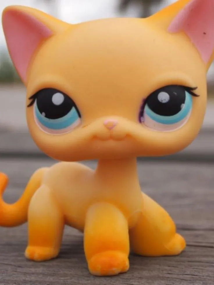 Lps popular on Pinterest | 17 Pins