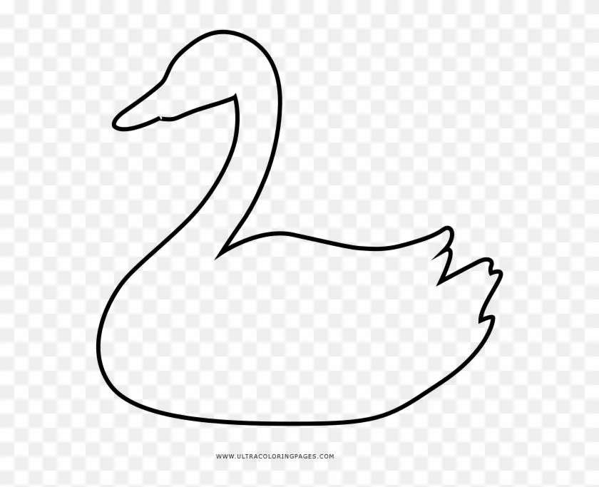 Lujo Cisne Para Colorear Ornamento - Duck, HD Png Download -  1000x707(#5373934) - PngFind