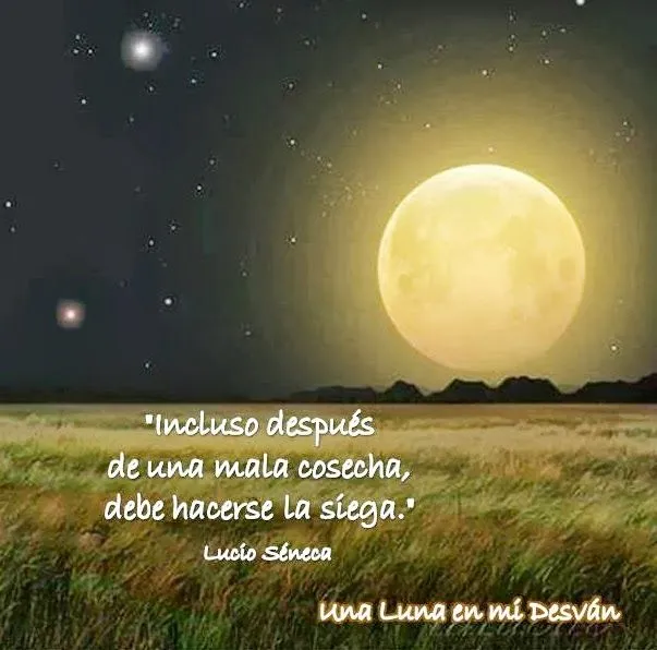 Una Luna en mi Desván: Frases-15