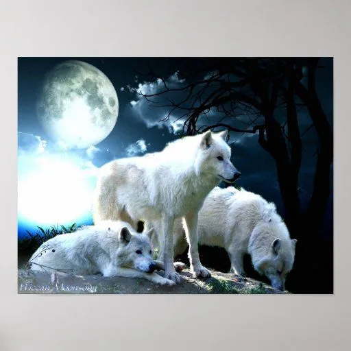 Luna llena del lobo grande poster de Zazzle.