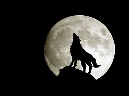 La Luna del Lobo. | Moonmentum Blog - Descifrando la Astrología