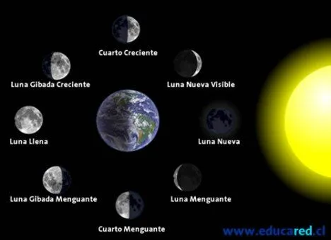 La Luna y sus secretos: Fases Lunares