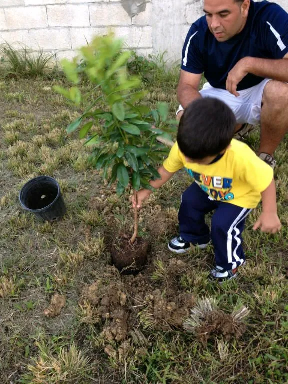 SER MADRE: DOBLE RETO: UN ÁRBOL Y UNA ENSEÑANZA