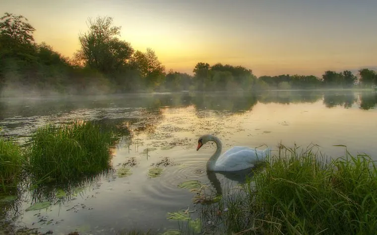 Madrugada en el lago - Morning on the lake by Boris Frkovic ...