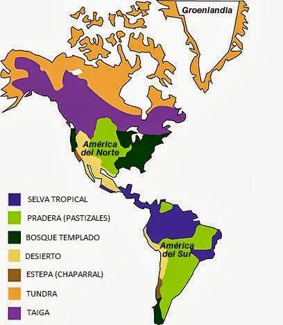 Maestra Analía: Geografía 5to año