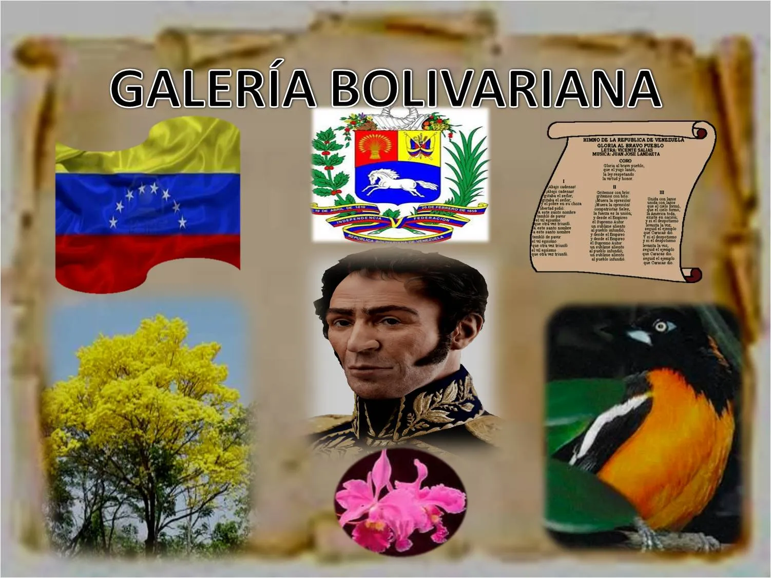 Maestra Asunción: Modelo de Galería Bolivariana y Árbol de Tres ...