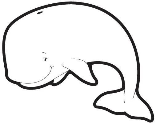 Maestra de Infantil: Las Ballenas. Características, alimentación ...