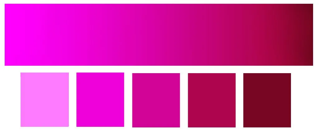 COLOR STORY | Magenta & Maroon | Schatzi Brown