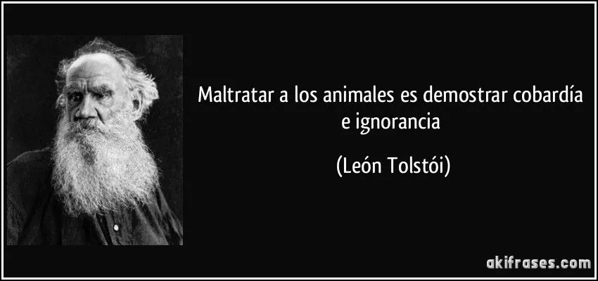 Maltratar a los animales es demostrar cobardía e ignorancia